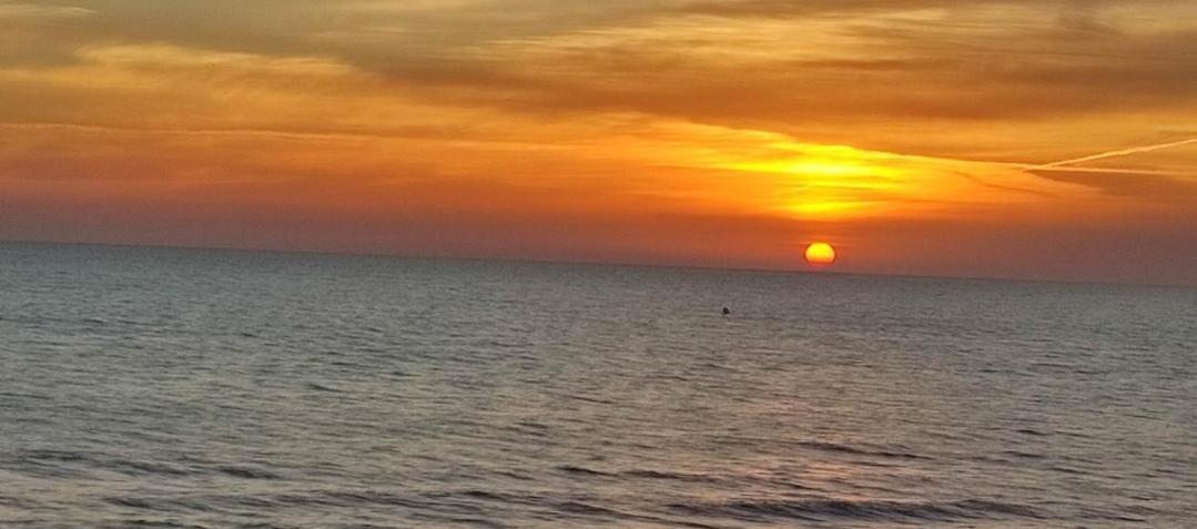 Apartamento Entero Primera Linea De Playa, Pet Friendly Tavernes de Valldigna Luaran gambar
